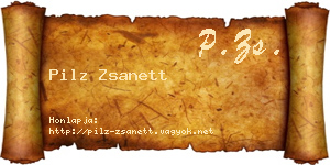Pilz Zsanett névjegykártya